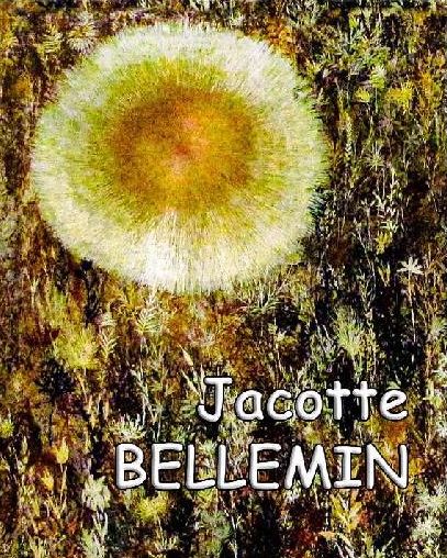 Livre Jacotte Bellemin