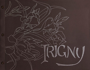 Recueil de vues anciennes d'Irigny